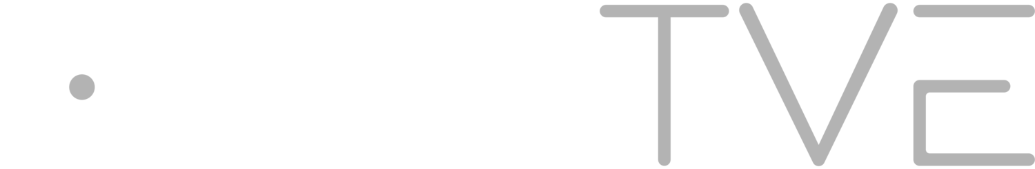 Total Vision Enterprise logo
